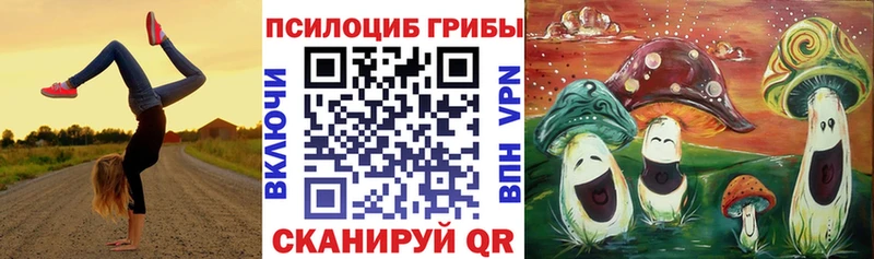 гидра онион  Верея  Псилоцибиновые грибы Psilocybine cubensis 